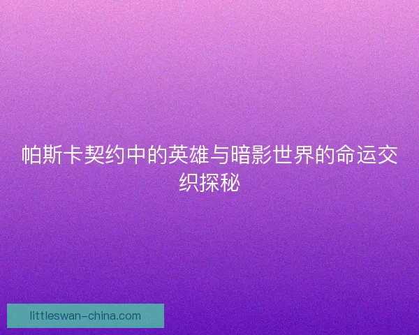 帕斯卡契约中的英雄与暗影世界的命运交织探秘