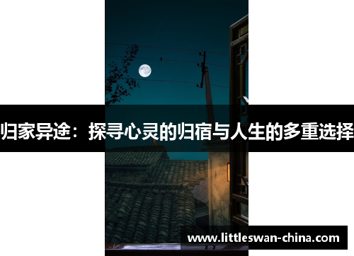 归家异途：探寻心灵的归宿与人生的多重选择